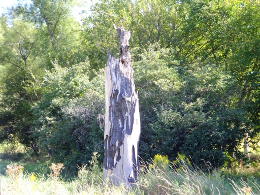 DSCF1057-512