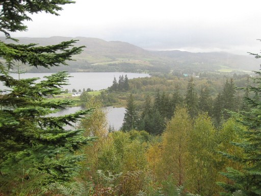 Looking_over_the_tree_tops_-_geograph.org.uk_-_569960