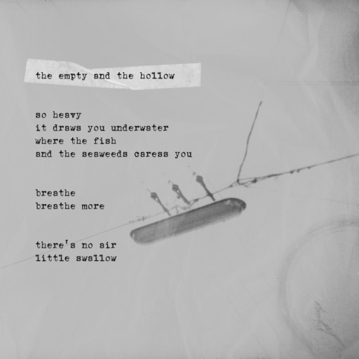 theemptyandthehollowbirgitzartl