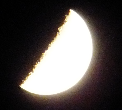 DSCF1186crop