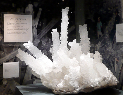 P1080506a