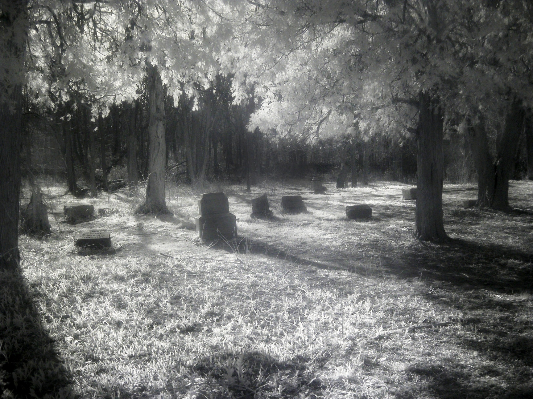 Bachelors_Grove_taken_on_IR