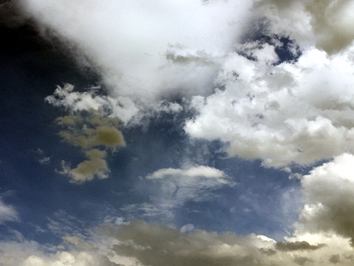 this_way_crop045