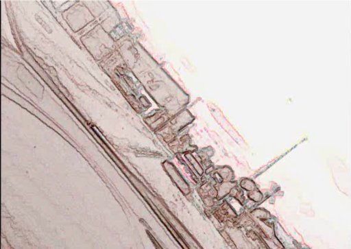 20edo